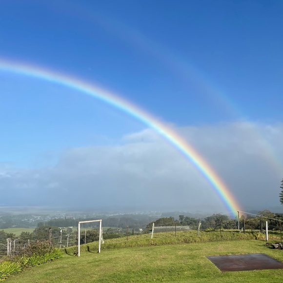 Aloha 🌺 & Smiles 🤙🏻🍧 - Picture 4 of 6